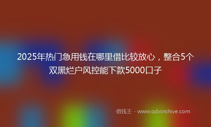 2025年热门急用钱在哪里借比较放心，整合5个双黑烂户风控能下款5000口子