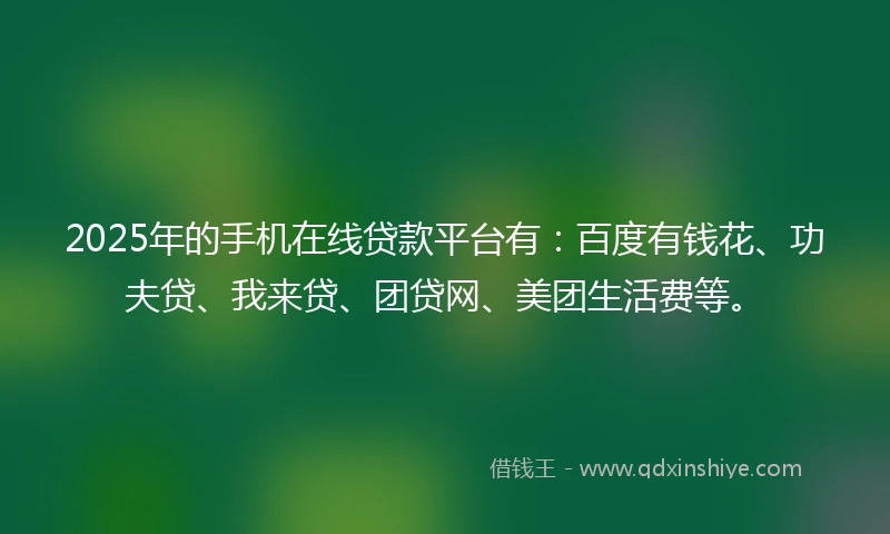 2025年的手机在线贷款平台有：百度有钱花、功夫贷、我来贷、团贷网、美团生活费等。