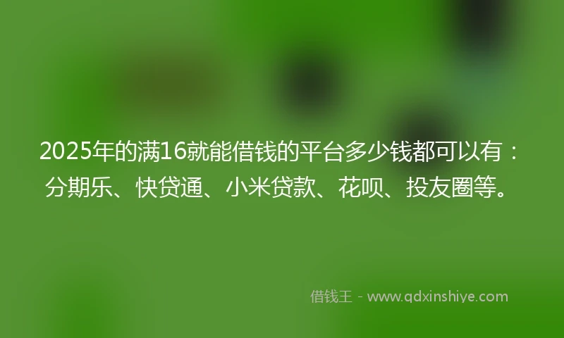 2025年的满16就能借钱的平台多少钱都可以有：分期乐、快贷通、小米贷款、花呗、投友圈等。
