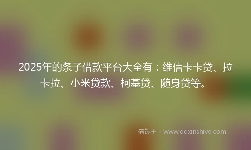 2025年的条子借款平台大全有：维信卡卡贷、拉卡拉、小米贷款、柯基贷、随身贷等。