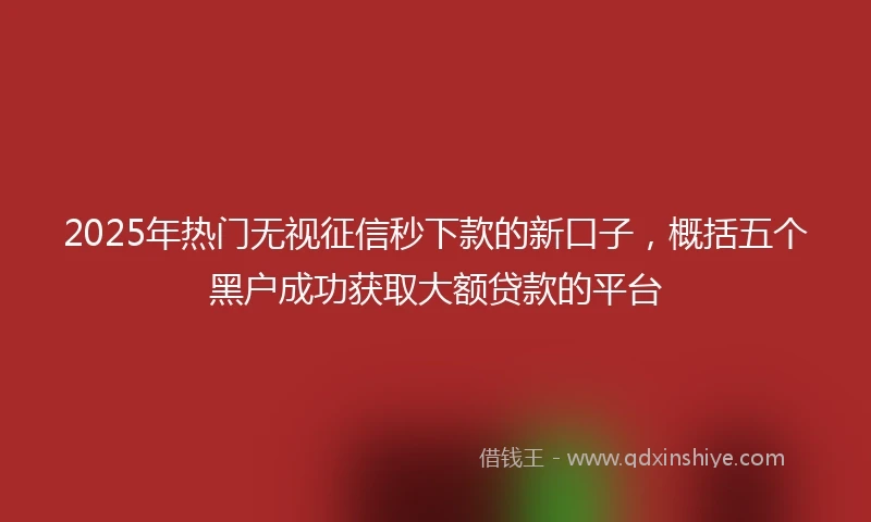 2025年热门无视征信秒下款的新口子，概括五个黑户成功获取大额贷款的平台