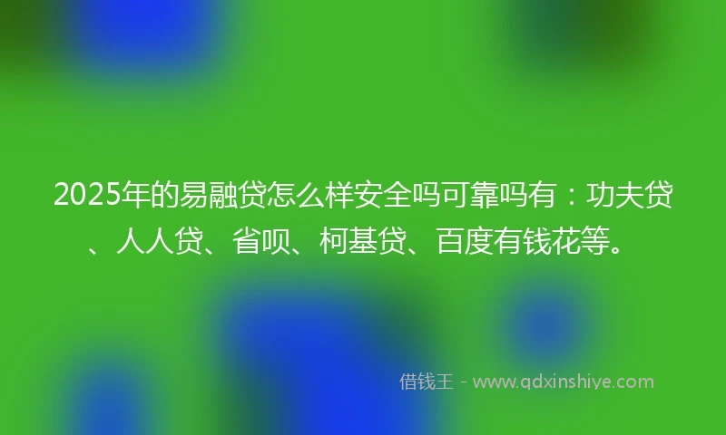 2025年的易融贷怎么样安全吗可靠吗有：功夫贷、人人贷、省呗、柯基贷、百度有钱花等。