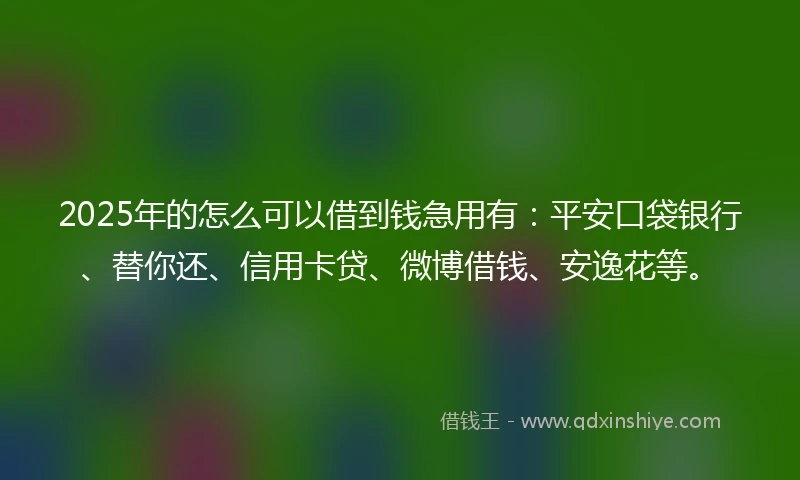 2025年的怎么可以借到钱急用有：平安口袋银行、替你还、信用卡贷、微博借钱、安逸花等。