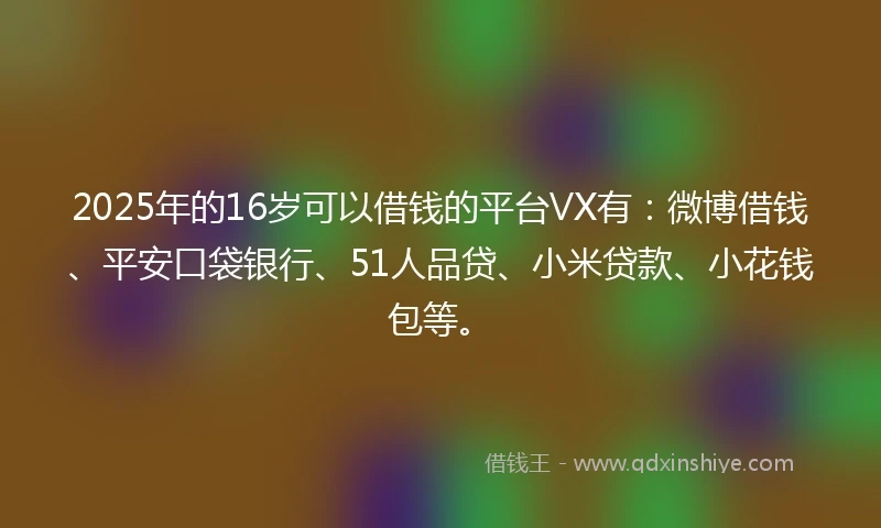 2025年的16岁可以借钱的平台VX有：微博借钱、平安口袋银行、51人品贷、小米贷款、小花钱包等。