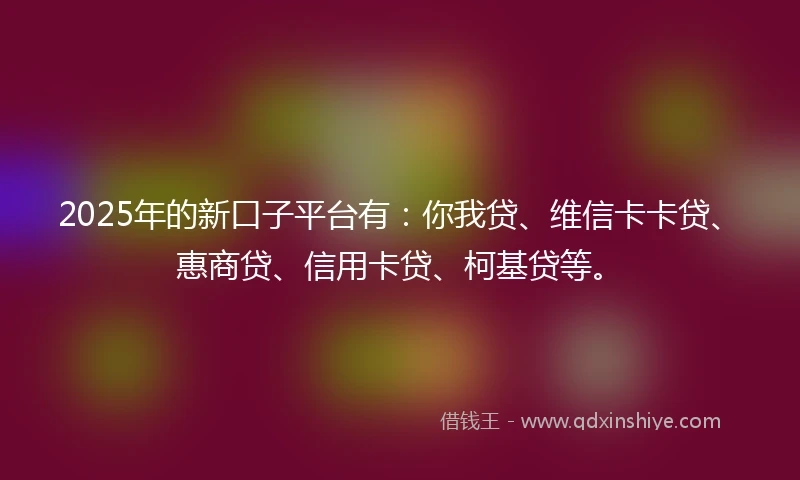 2025年的新口子平台有：你我贷、维信卡卡贷、惠商贷、信用卡贷、柯基贷等。