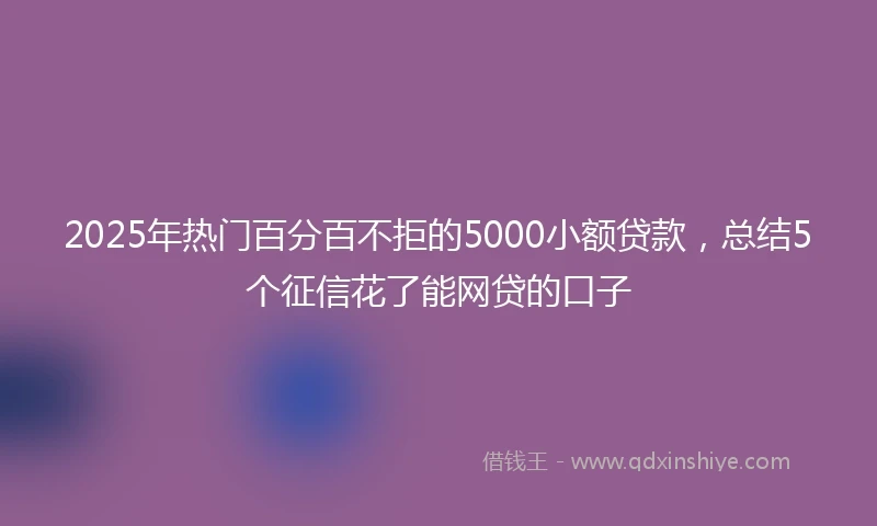 2025年热门百分百不拒的5000小额贷款，总结5个征信花了能网贷的口子