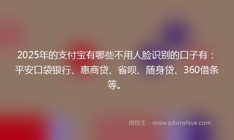 2025年的支付宝有哪些不用人脸识别的口子有：平安口袋银行、惠商贷、省呗、随身贷、360借条等。