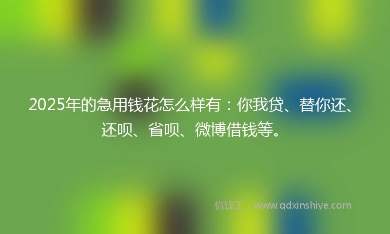 2025年的急用钱花怎么样有：你我贷、替你还、还呗、省呗、微博借钱等。