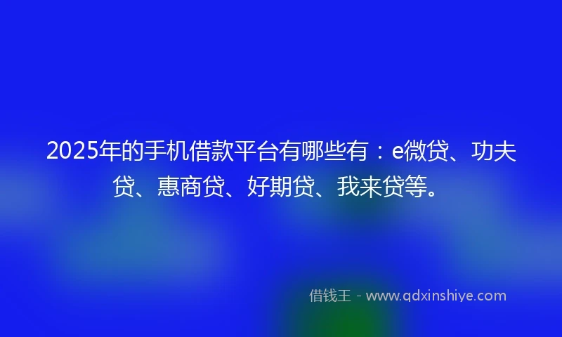 2025年的手机借款平台有哪些有：e微贷、功夫贷、惠商贷、好期贷、我来贷等。