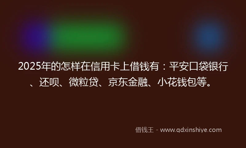 2025年的怎样在信用卡上借钱有：平安口袋银行、还呗、微粒贷、京东金融、小花钱包等。