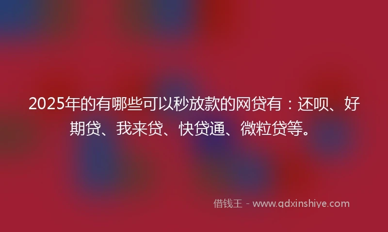 2025年的有哪些可以秒放款的网贷有：还呗、好期贷、我来贷、快贷通、微粒贷等。