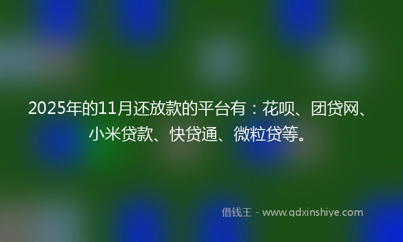 2025年的11月还放款的平台有：花呗、团贷网、小米贷款、快贷通、微粒贷等。
