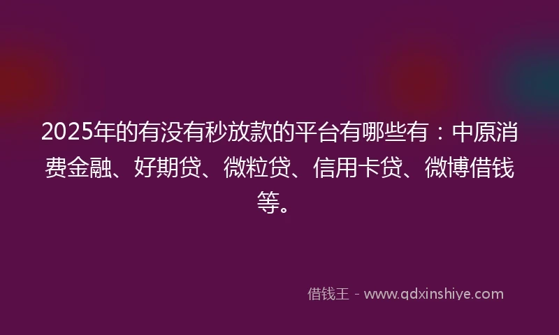 2025年的有没有秒放款的平台有哪些有：中原消费金融、好期贷、微粒贷、信用卡贷、微博借钱等。
