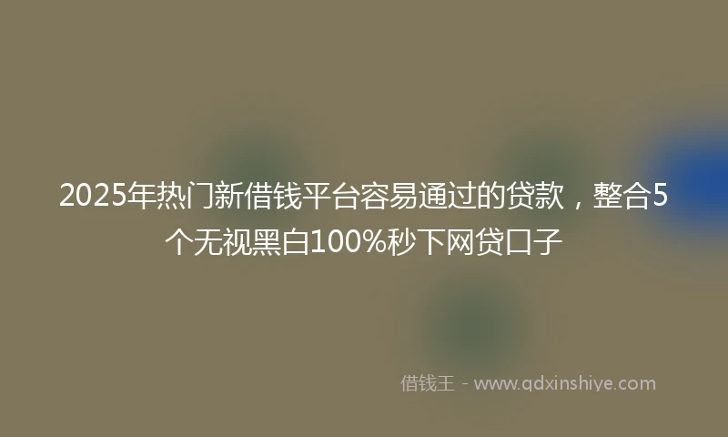 2025年热门新借钱平台容易通过的贷款，整合5个无视黑白100%秒下网贷口子