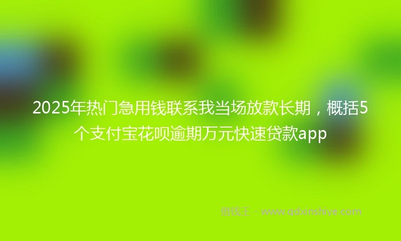 2025年热门急用钱联系我当场放款长期，概括5个支付宝花呗逾期万元快速贷款app