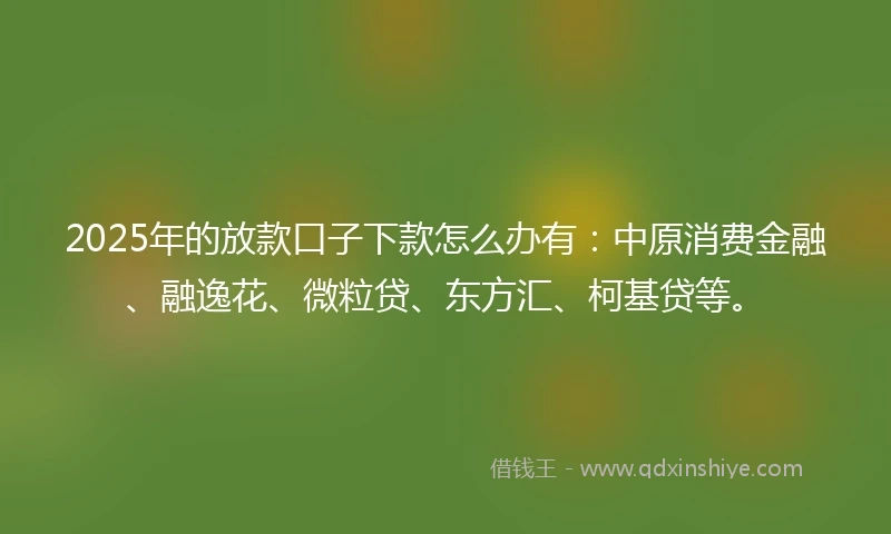 2025年的放款口子下款怎么办有：中原消费金融、融逸花、微粒贷、东方汇、柯基贷等。