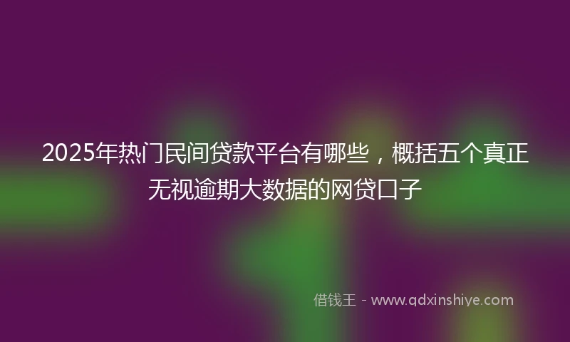 2025年热门民间贷款平台有哪些，概括五个真正无视逾期大数据的网贷口子