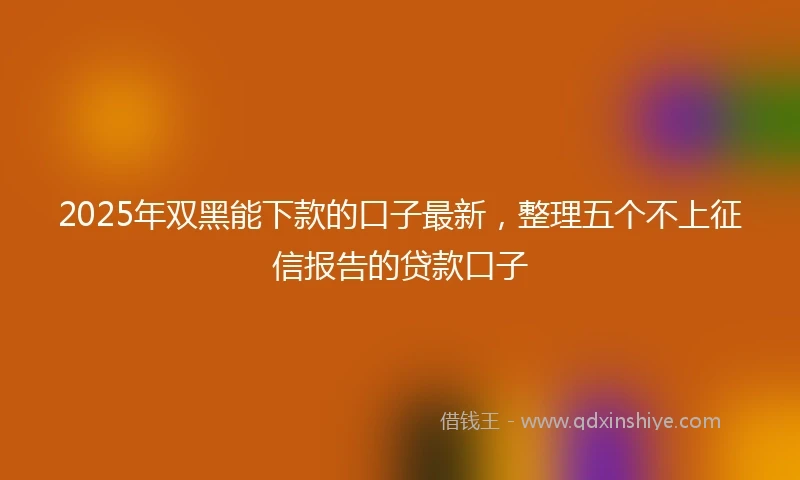 2025年双黑能下款的口子最新，整理五个不上征信报告的贷款口子