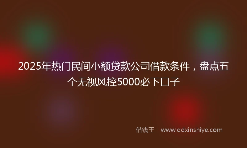 2025年热门民间小额贷款公司借款条件，盘点五个无视风控5000必下口子