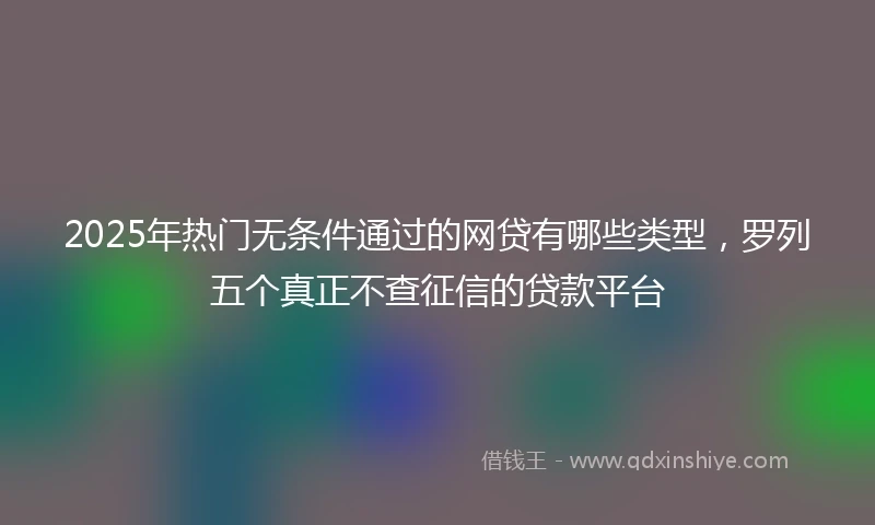 2025年热门无条件通过的网贷有哪些类型，罗列五个真正不查征信的贷款平台