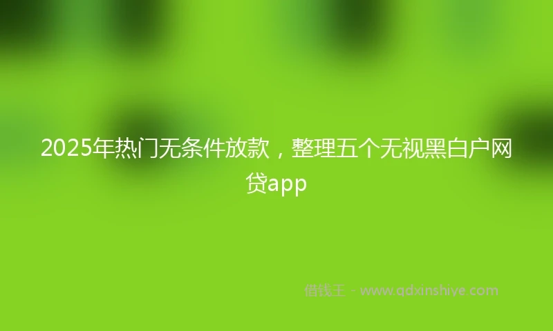 2025年热门无条件放款，整理五个无视黑白户网贷app