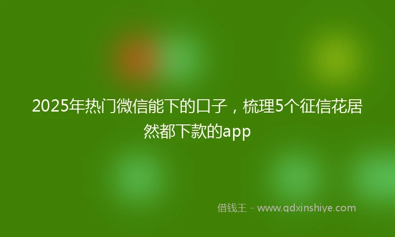 2025年热门微信能下的口子，梳理5个征信花居然都下款的app