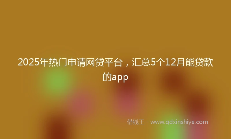 2025年热门申请网贷平台，汇总5个12月能贷款的app