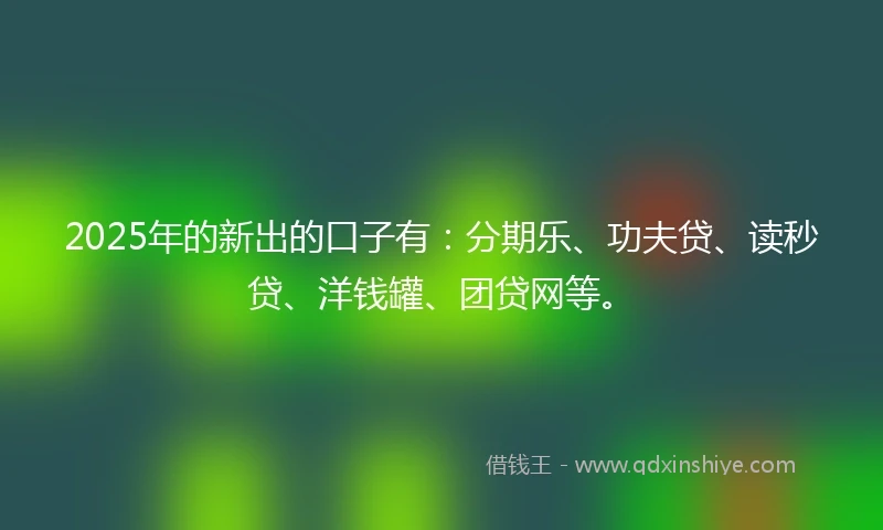 2025年的新出的口子有：分期乐、功夫贷、读秒贷、洋钱罐、团贷网等。