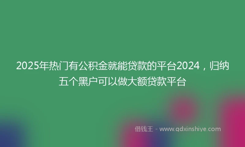 2025年热门有公积金就能贷款的平台2024，归纳五个黑户可以做大额贷款平台