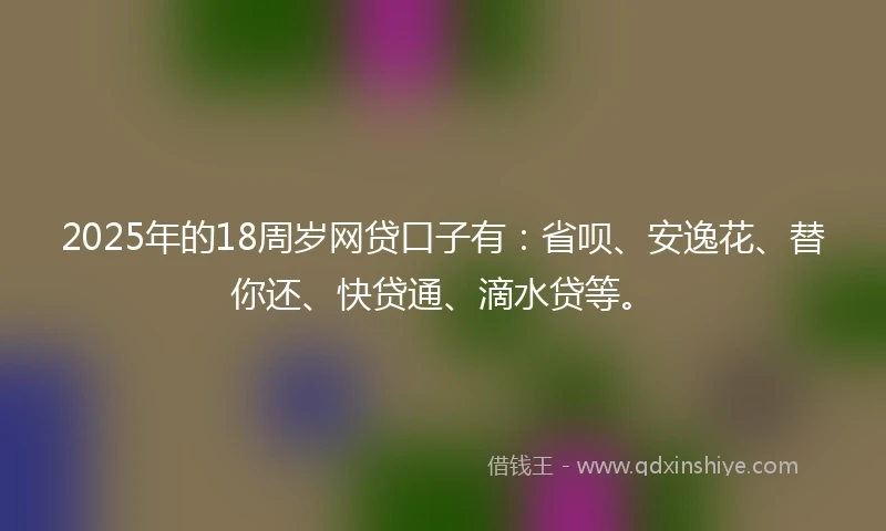 2025年的18周岁网贷口子有：省呗、安逸花、替你还、快贷通、滴水贷等。