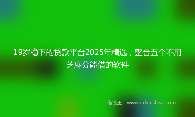19岁稳下的贷款平台2025年精选，整合五个不用芝麻分能借的软件