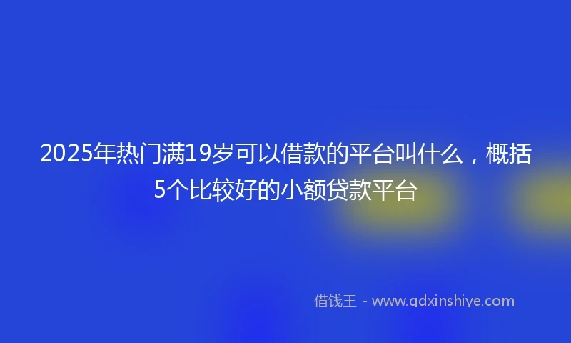 2025年热门满19岁可以借款的平台叫什么，概括5个比较好的小额贷款平台