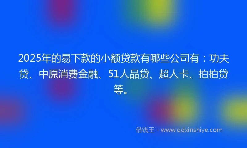 2025年的易下款的小额贷款有哪些公司有：功夫贷、中原消费金融、51人品贷、超人卡、拍拍贷等。