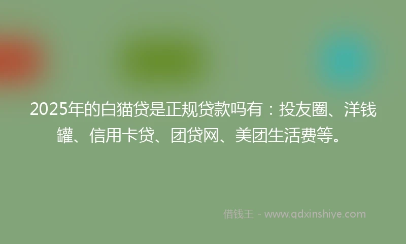 2025年的白猫贷是正规贷款吗有：投友圈、洋钱罐、信用卡贷、团贷网、美团生活费等。