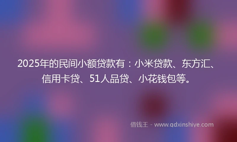 2025年的民间小额贷款有：小米贷款、东方汇、信用卡贷、51人品贷、小花钱包等。