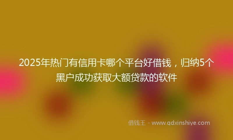 2025年热门有信用卡哪个平台好借钱，归纳5个黑户成功获取大额贷款的软件