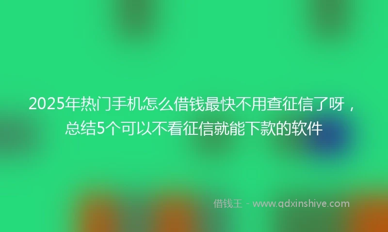 2025年热门手机怎么借钱最快不用查征信了呀，总结5个可以不看征信就能下款的软件
