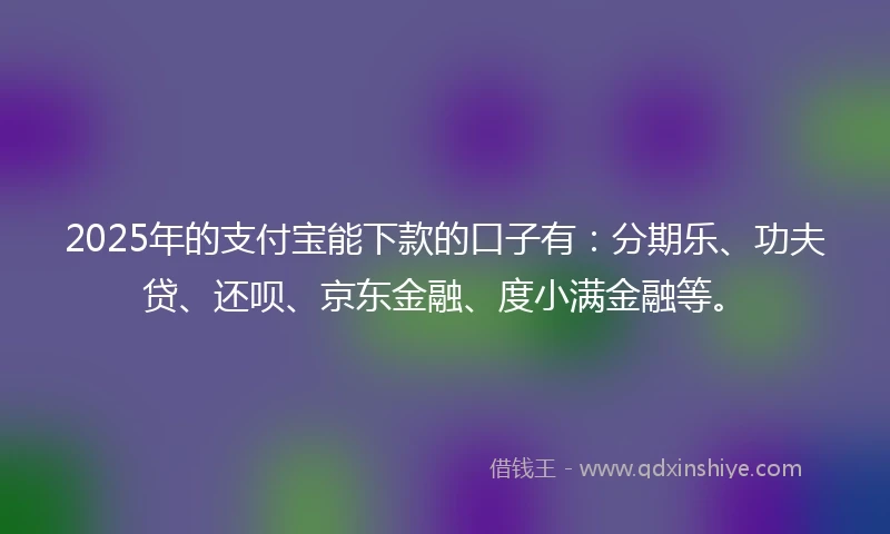 2025年的支付宝能下款的口子有：分期乐、功夫贷、还呗、京东金融、度小满金融等。
