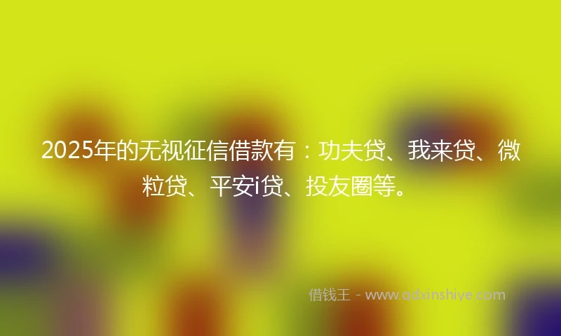 2025年的无视征信借款有：功夫贷、我来贷、微粒贷、平安i贷、投友圈等。