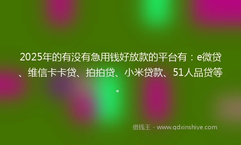 2025年的有没有急用钱好放款的平台有：e微贷、维信卡卡贷、拍拍贷、小米贷款、51人品贷等。