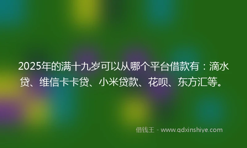 2025年的满十九岁可以从哪个平台借款有：滴水贷、维信卡卡贷、小米贷款、花呗、东方汇等。