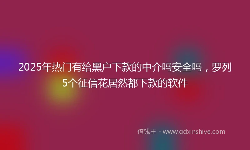 2025年热门有给黑户下款的中介吗安全吗，罗列5个征信花居然都下款的软件