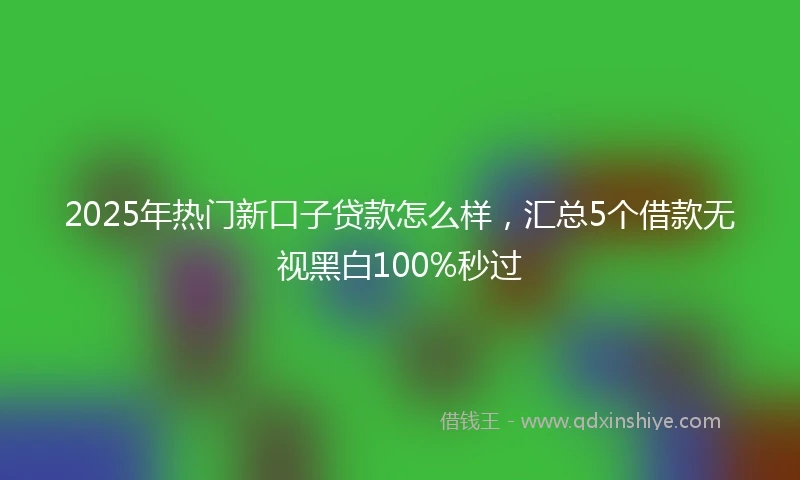 2025年热门新口子贷款怎么样，汇总5个借款无视黑白100%秒过