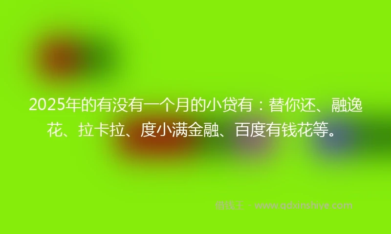 2025年的有没有一个月的小贷有：替你还、融逸花、拉卡拉、度小满金融、百度有钱花等。