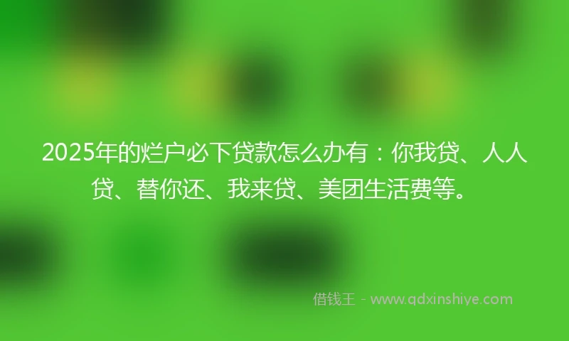 2025年的烂户必下贷款怎么办有：你我贷、人人贷、替你还、我来贷、美团生活费等。