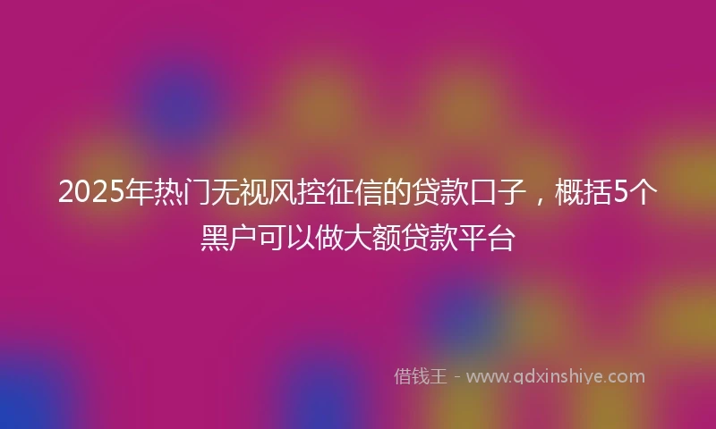 2025年热门无视风控征信的贷款口子，概括5个黑户可以做大额贷款平台