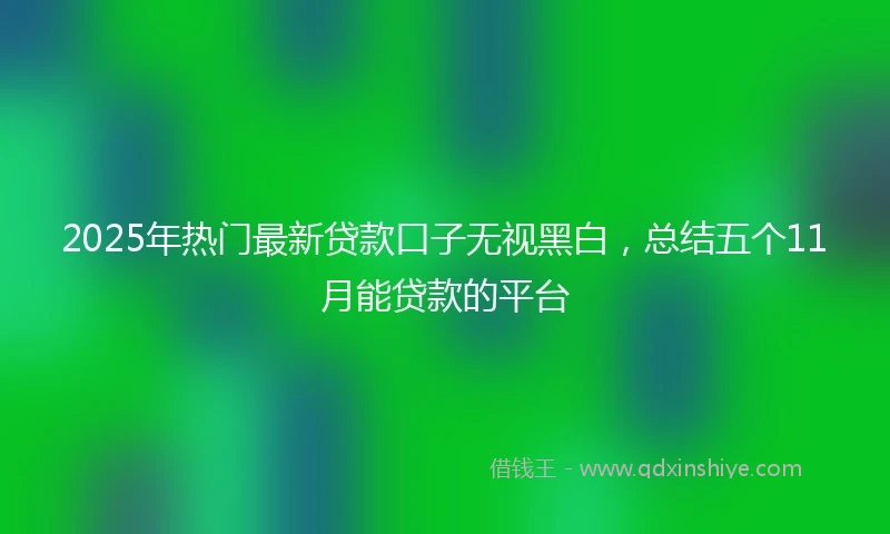 2025年热门最新贷款口子无视黑白，总结五个11月能贷款的平台