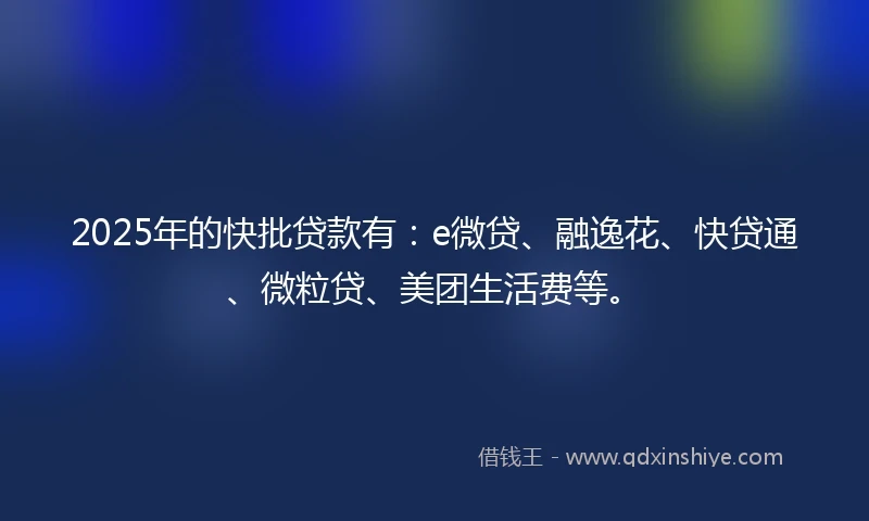 2025年的快批贷款有：e微贷、融逸花、快贷通、微粒贷、美团生活费等。