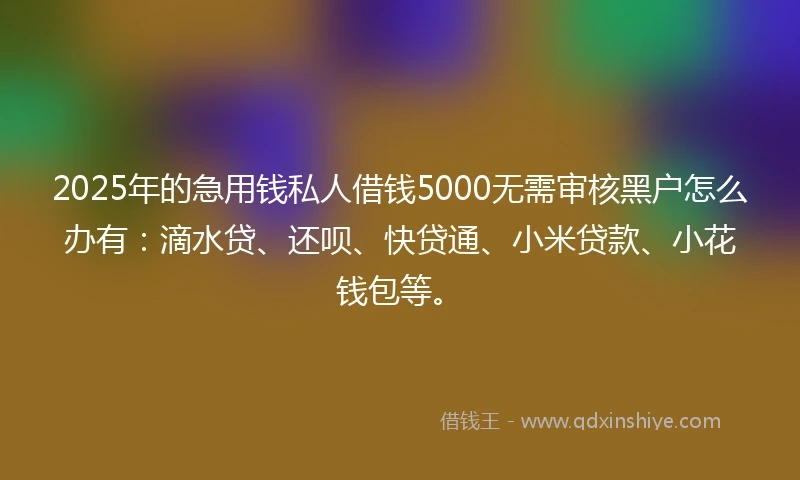 2025年的急用钱私人借钱5000无需审核黑户怎么办有：滴水贷、还呗、快贷通、小米贷款、小花钱包等。