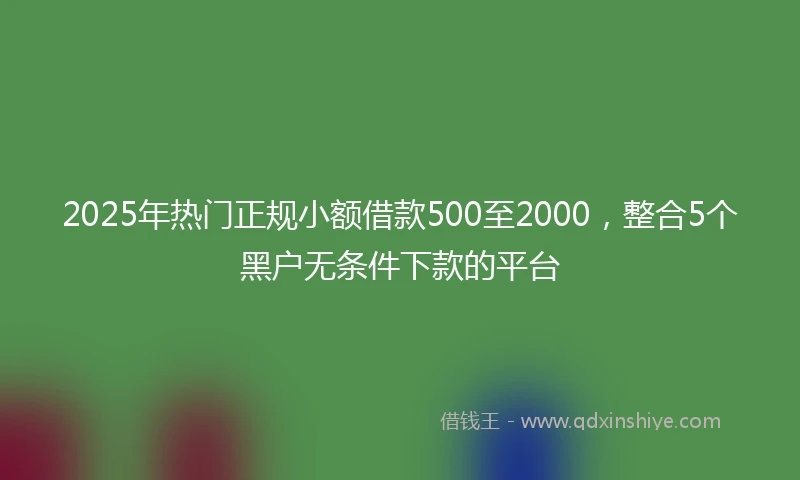 2025年热门正规小额借款500至2000，整合5个黑户无条件下款的平台
